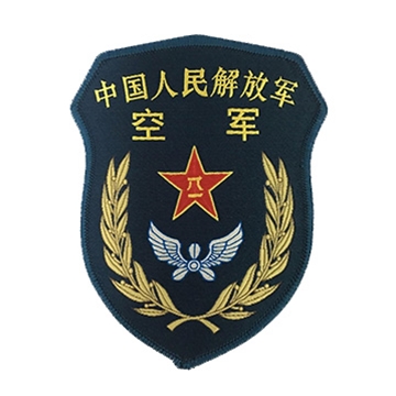 中國(guó)人民解放軍空軍